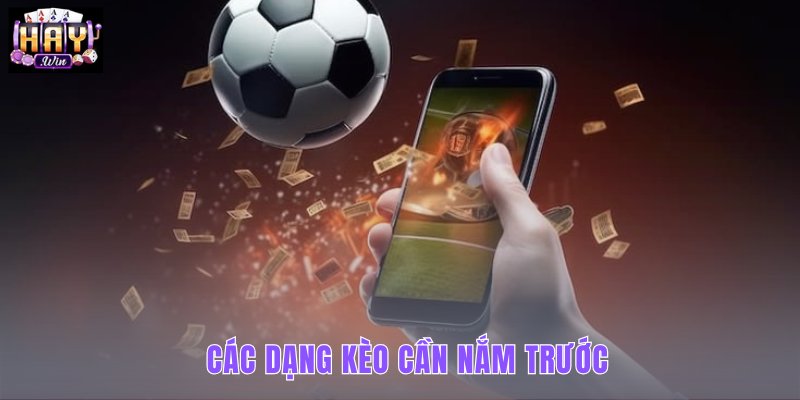 cac-dang-keo-can-nam-truoc